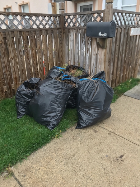 A pile of black garbage bags stacked on the sidewalk